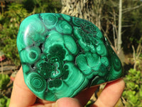 Polished Flower Banded Malachite Free Forms  x 6 From Congo - Toprock Gemstones and Minerals 