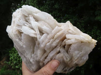 Natural Extra Large Bladed Barite Specimen x 1 From Tenke Fungurume, Congo - TopRock