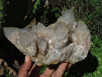 Natural Smokey Phantom Cluster x 1 From Lwena, Congo - TopRock