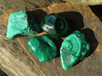 Polished Flower Banded Malachite Free Forms  x 6 From Congo - Toprock Gemstones and Minerals 