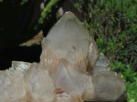 Natural Smokey Phantom Cluster x 1 From Lwena, Congo - TopRock