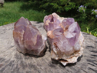 Natural Zambian Amethyst Quartz Clusters x 2 From Mumbwa, Zambia - TopRock