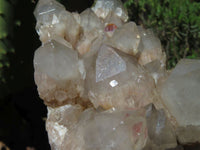 Natural Smokey Phantom Cluster x 1 From Lwena, Congo - TopRock