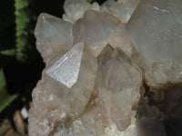 Natural Smokey Phantom Cluster x 1 From Lwena, Congo - TopRock