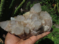 Natural Smokey Phantom Cluster x 1 From Lwena, Congo - TopRock