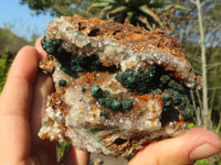 Natural Rare Ball Malachite On Drusy Quartz & Dolomite Matrix  x 2 From Kambove, Congo - Toprock Gemstones and Minerals 