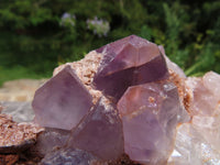 Natural Zambian Amethyst Quartz Clusters x 2 From Mumbwa, Zambia - TopRock