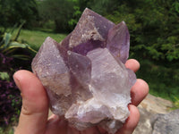 Natural Zambian Amethyst Quartz Clusters x 2 From Mumbwa, Zambia - TopRock