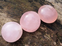 Polished Gemmy Pink Rose Quartz Palm Stones  x 12 From Madagascar - Toprock Gemstones and Minerals 