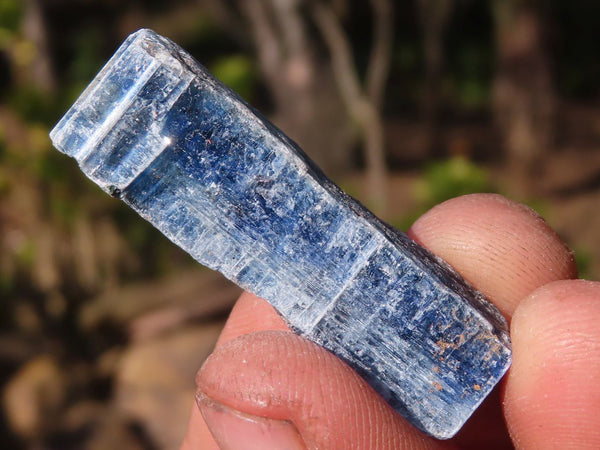 Natural Single Blue Kyanite Crystals  x 2.2 Kg Lot From Karoi, Zimbabwe