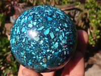 Polished Conglomerate Chrysocolla Spheres With Azurite & Malachite x 2 From Congo