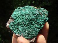 Natural Crystalline Malachite Plate Specimens  x 25 From Tenke Fungurume, Congo - TopRock