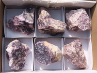 Natural Rough Purple Lepidolite Specimens  x 6 From Namibia - Toprock Gemstones and Minerals 