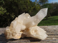 Natural White Quartz Clusters x 12 From Madagascar - TopRock