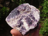 Natural Rough Purple Lepidolite Specimens  x 6 From Namibia - Toprock Gemstones and Minerals 