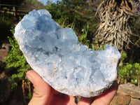 Natural Blue Celestite Crystal Specimens  x 2 From Sakoany, Madagascar - Toprock Gemstones and Minerals 