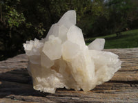 Natural White Quartz Clusters x 12 From Madagascar - TopRock