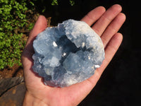 Natural Blue Celestite Crystal Specimens  x 2 From Sakoany, Madagascar - Toprock Gemstones and Minerals 