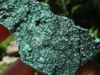 Natural Crystalline Malachite Plate Specimens  x 25 From Tenke Fungurume, Congo - TopRock