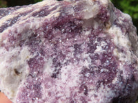 Natural Rough Purple Lepidolite Specimens  x 6 From Namibia - Toprock Gemstones and Minerals 