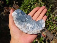 Natural Blue Celestite Crystal Specimens  x 2 From Sakoany, Madagascar - Toprock Gemstones and Minerals 