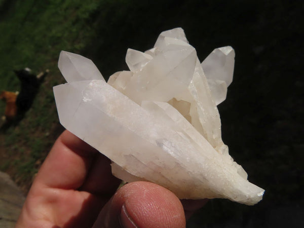 Natural White Quartz Clusters x 12 From Madagascar - TopRock