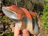 Polished Polychrome / Picasso Jasper Flame  x 1 From Madagascar