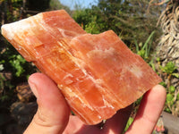 Natural New Sunset Orange Calcite Specimens  x 12 From Spitzkop, Namibia - Toprock Gemstones and Minerals 