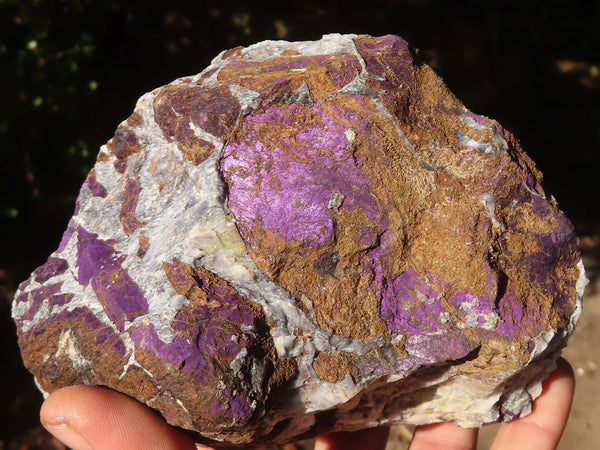 Natural Metallic Purpurite Cobbed Specimens x 2 From Erongo, Namibia