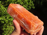 Natural New Sunset Orange Calcite Specimens  x 12 From Spitzkop, Namibia - Toprock Gemstones and Minerals 