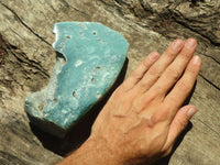 Polished Emerald Mtorolite / Chrome Chrysoprase Plates  x 2 From Zimbabwe - TopRock