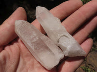 Natural Single Clear Quartz Crystals  x 48 From Madagascar - TopRock