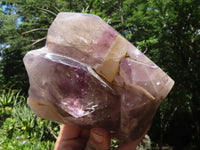 Polished Skeletal Amethyst Window Quartz Crystal  x 1 From Madagascar - TopRock