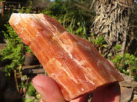 Natural New Sunset Orange Calcite Specimens  x 12 From Spitzkop, Namibia - Toprock Gemstones and Minerals 