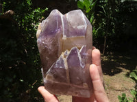 Polished Skeletal Amethyst Window Quartz Crystal  x 1 From Madagascar - TopRock