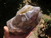 Polished Skeletal Amethyst Window Quartz Crystal  x 1 From Madagascar - TopRock