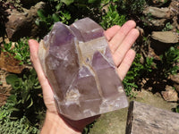 Polished Skeletal Amethyst Window Quartz Crystal  x 1 From Madagascar - TopRock