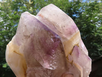 Polished Skeletal Amethyst Window Quartz Crystal  x 1 From Madagascar - TopRock