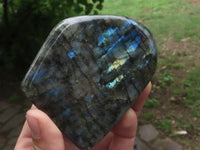 Polished Labradorite Standing Free Forms With Blue & Gold Flash  x 3 From Tulear, Madagascar - TopRock