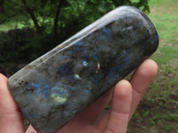 Polished Labradorite Standing Free Forms With Blue & Gold Flash  x 3 From Tulear, Madagascar - TopRock