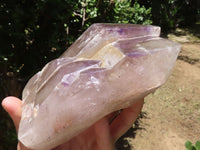 Polished Skeletal Amethyst Window Quartz Crystal  x 1 From Madagascar - TopRock