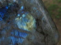 Polished Labradorite Standing Free Forms With Blue & Gold Flash  x 3 From Tulear, Madagascar - TopRock