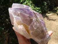 Polished Skeletal Amethyst Window Quartz Crystal  x 1 From Madagascar - TopRock