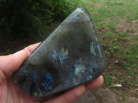 Polished Labradorite Standing Free Forms With Blue & Gold Flash  x 3 From Tulear, Madagascar - TopRock