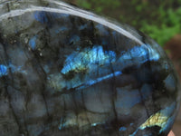 Polished Labradorite Standing Free Forms With Blue & Gold Flash  x 3 From Tulear, Madagascar - TopRock