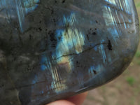 Polished Labradorite Standing Free Forms With Blue & Gold Flash  x 3 From Tulear, Madagascar - TopRock