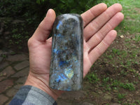 Polished Labradorite Standing Free Forms With Blue & Gold Flash  x 3 From Tulear, Madagascar - TopRock