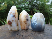 Polished Agate Standing Free Forms x 3 From Madagascar - TopRock