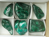 Polished Malachite Free Forms With Stunning Flower & Banding Patterns x 6 From Congo - TopRock