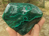 Polished Malachite Free Forms With Stunning Flower & Banding Patterns x 6 From Congo - TopRock